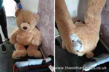 Rochdale car thief hid inside teddy bear - The Oldham Times