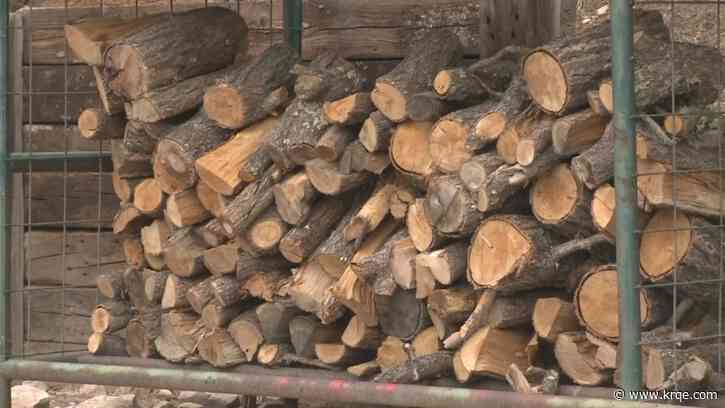 Santa Fe National Forest begins firewood permit sales