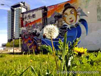 Edmonton weather: Hot summer weather, could it get any better?