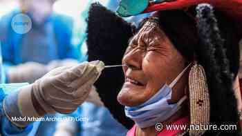 Will 'Centaurus' be the next global coronavirus variant? Indian cases offers clues - Nature.com