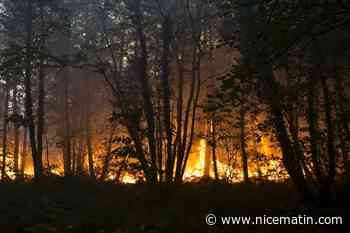 Incendie en Gironde: "grandes suspicions" que les reprises de feu soient "le fait d'incendiaires"