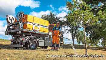Wildberger Grünanlagen: Stadt gießt  Pflanzen mit Wasser aus Schwimmhalle