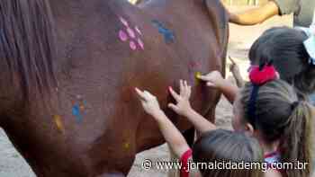Dia Nacional da Equoterapia: centro pioneiro em Lagoa da Prata comenta sobre benefícios, desafios e assistência social - Jornal Cidade