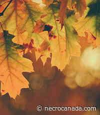 Scott Christopher Laugher Wednesday July 20th 2022 - Nécrologie Canada