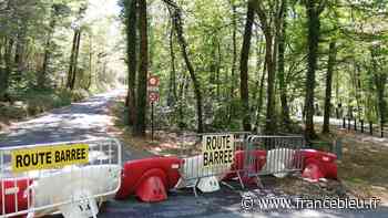 Sécheresse : accès interdit à la forêt de Corsuet à Aix-les-Bains en raison du risque d'incendie - France Bleu
