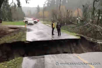 North Saanich's Chalet Creek getting a fish-focused atmospheric river repair job - Saanich News