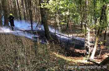 POL-PDLD: Wald brennt
