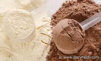 A closer look at Whey Protein Phospholipid Concentrate