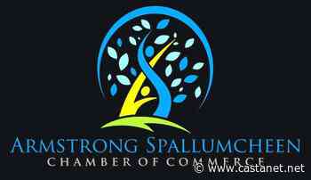 Armstrong Spallumcheen Chamber of Commerce surveying local businesses - Vernon News - Castanet.net