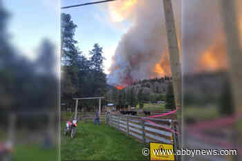 B.C. man has helped battle many wildfires – but nothing like the Keremeos Creek fire
