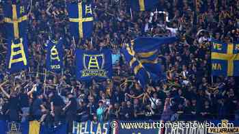 Non solo Bologna, anche il Verona su Daniliuc del Nizza: veneti vicini anche a Natan - TUTTO mercato WEB