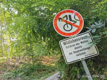 Wegen Mountainbikern: Neue Schilder im Wald in Weinstadt - eines bereits geklaut - Zeitungsverlag Waiblingen