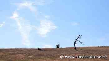 Wetter - Augsburg - Historisch trockener Sommer in Nordbayern - Bayern - SZ.de - Süddeutsche Zeitung - SZ.de
