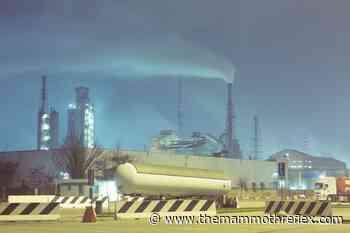 Ambiente Clima Futuro: a Bibbiena la mostra che racconta la tutela ambientale - TheMammoth'sReflex