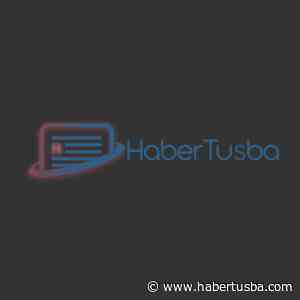 Launch of Crown Prince Camel Festival 2022 marathon for passengers - HaberTusba