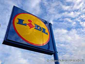 Lidl, nuova apertura Catania: si cercano diplomati - Liveunict | Magazine sull'Università di Catania