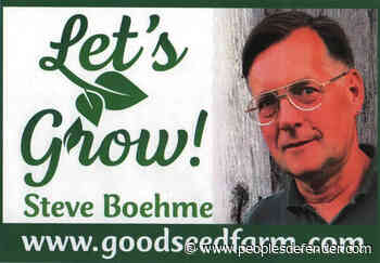 Estate Gardener – A Dream Job? - The People's Defender