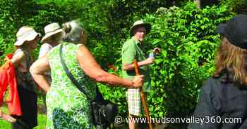 Germantown Garden Club visits garden of Master Gardener - Hudson Valley 360