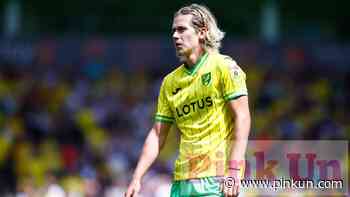 Norwich City: Chris Sutton's column on Todd Cantwell - PinkUn
