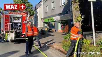 So schützt die Freiwillige Feuerwehr Witten Bäume bei Hitze - WAZ News