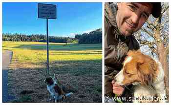 Villingen-Schwenningen: Hundehalter setzt sich gegen rigorose Leinenpflicht am Warenberg zur Wehr - SÜDKURIER Online