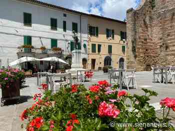 Radicondoli cerca un addetto al servizio civile digitale - Siena News