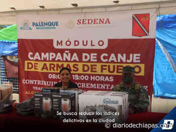 En marcha Canje de Armas en Palenque: Sedena - Diario de Chiapas