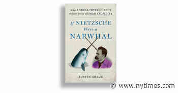 Review: “If Nietzsche Were a Narwhal,” by Justin Gregg