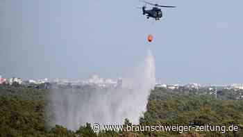 Fortschritte bei Brandbekämpfung im Grunewald