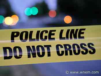 Body pulled from Lake St. Clair after swimming dogs found - WNEM