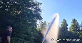 Am Wochenende tote Fische an Weiher in Siegelbach entdeckt - Kaiserslautern - Rheinpfalz.de