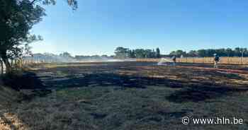 2.500 vierkante meter grasland gaat in vlammen op | Bredene | hln.be - Het Laatste Nieuws