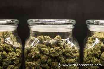 Chilliwack council turned down cannabis retail application - Chilliwack Progress