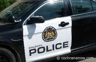 Update: 11-year-old girl found - CochraneNow.com