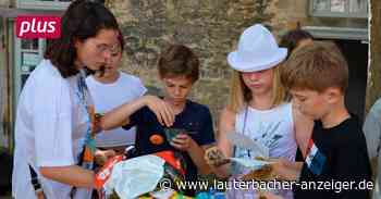 Alsfeld: Kinder regieren ihre eigene Stadt - Lauterbacher Anzeiger