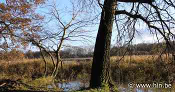 Resterend stukje asbeststort wordt verwijderd uit natuurreservaat Torfbroek - Het Laatste Nieuws