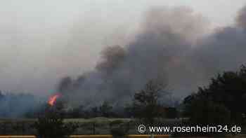 Ukraine verhängt Ausnahmezustand auf der Krim - Russland zerstört deutschen Panzer