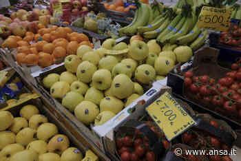 Trento è la città più cara, a Campobasso si spende di meno - Agenzia ANSA