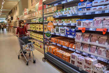 Prezzi: aumentano a Trieste e Udine,+8,5% e +7,8% in un anno - Agenzia ANSA