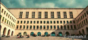 Università di Trieste, attivato il corso che dà l'abilitazione per insegnare nella scuole d'infanzia e primaria - triestecafe.it