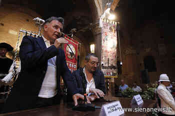 Applausi per il Palio di luce: l’opera di Anastasio: scintilla nella corazza di paillettes - Siena News