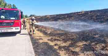 Honderd meter kurkdroog gras gaat in vlammen op - Het Laatste Nieuws