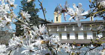 Messa per Santa Chiara al monastero di Boves - La Guida - LaGuida.it