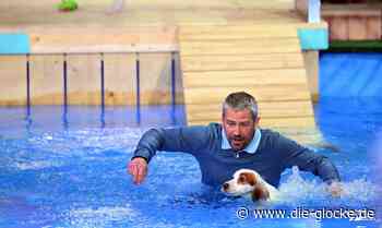 Hund aus Coesfeld tritt bei „Top Dog Germany" an - Die Glocke