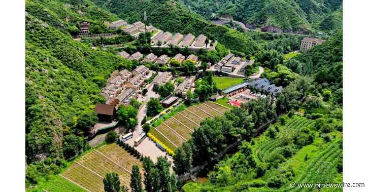 Xinhua Silk Road : le comté de Lingqiu, au nord de la Chine, adopte l'agriculture biologique comme moyen efficace de promouvoir le développement rural