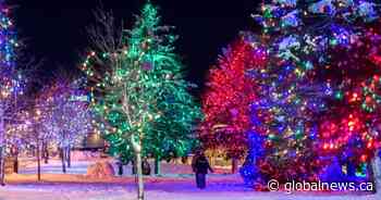 N.B. town facing $60k repair bill for Christmas lights display