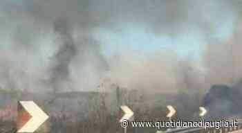 Fuoco e fiamme sulla Brindisi-Lecce: chiuso il tratto di strada per un rogo - quotidianodipuglia.it