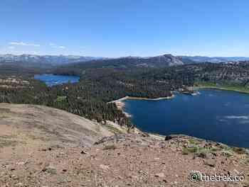 The Inescapable Coronavirus, Vol. II: PCT Days 64-74 - The Trek
