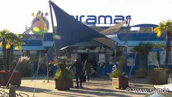 Siebenjährige im Weinheimer Schwimmbad miramar fast ertrunken - SWR Aktuell