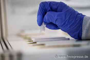 Quarantäne-Urteil für Rückkehrer aus Corona-Risikogebieten - freiepresse.de